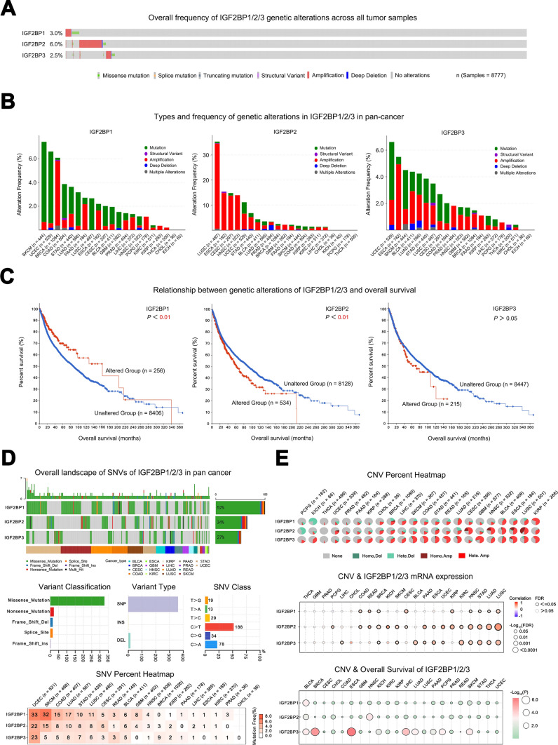 PMC11910485 – Fig4