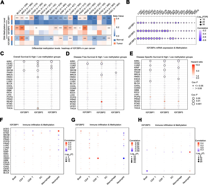 PMC11910485 – Fig5