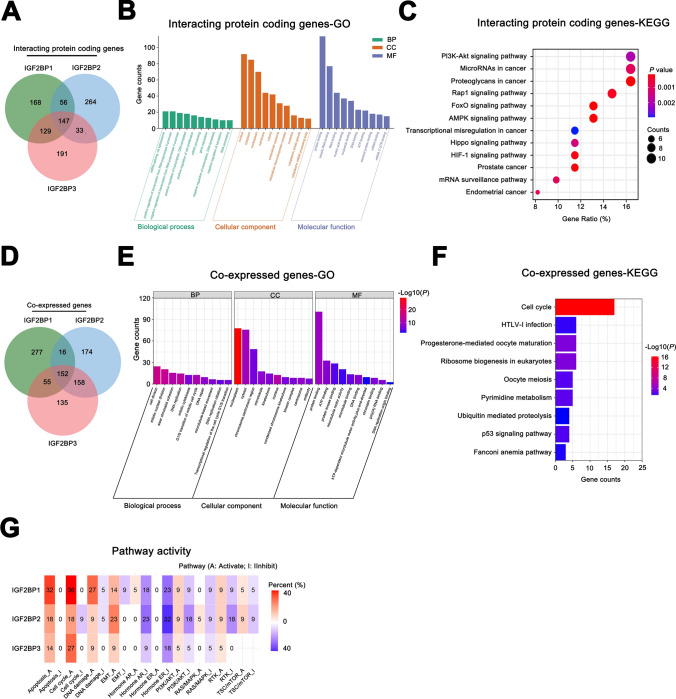 PMC11910485 – Fig6