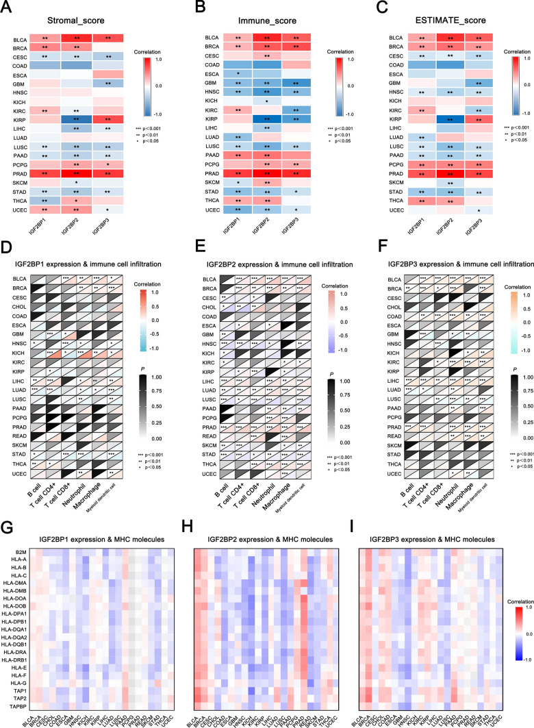 PMC11910485 – Fig7
