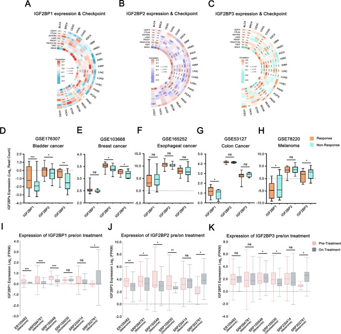 PMC11910485 – Fig8