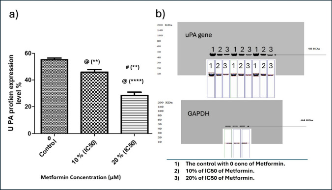 PMC12126455 – Fig12