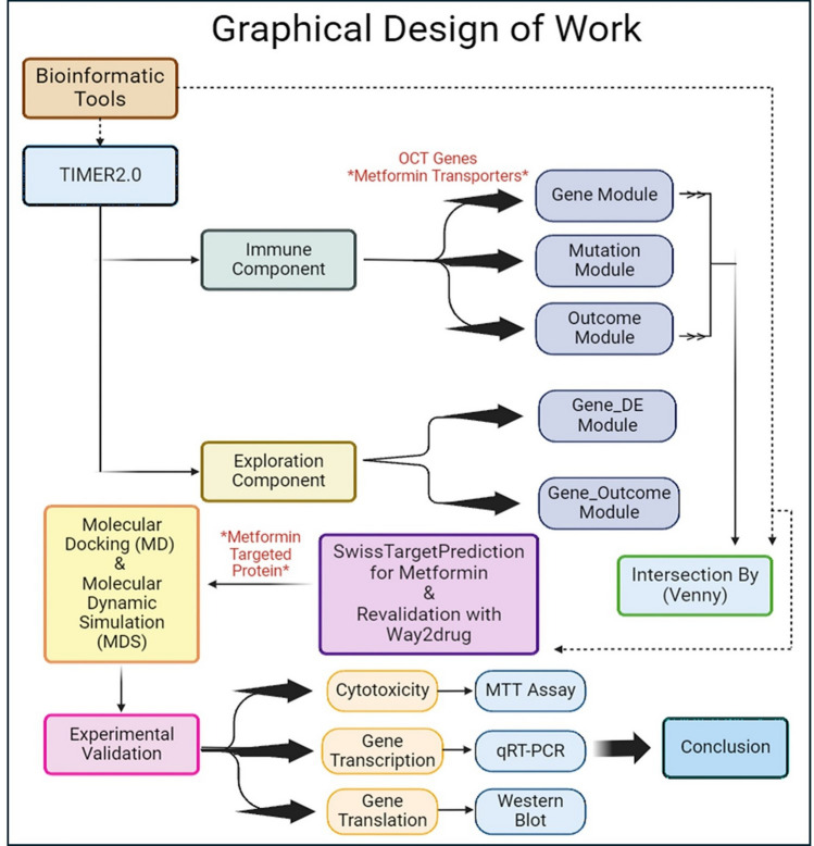 PMC12126455 – Fig1