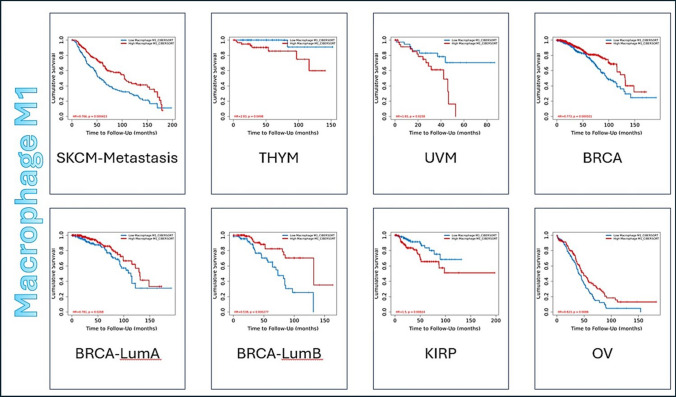 PMC12126455 – Fig2