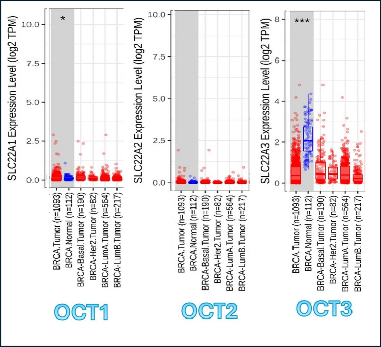 PMC12126455 – Fig4