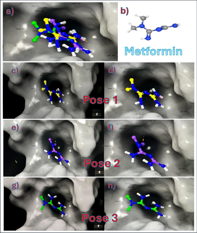 PMC12126455 – Fig8
