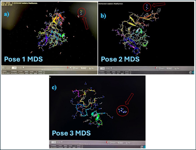 PMC12126455 – Fig9