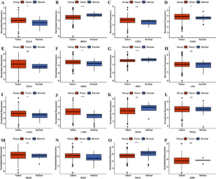 PMC12162437 – Fig2