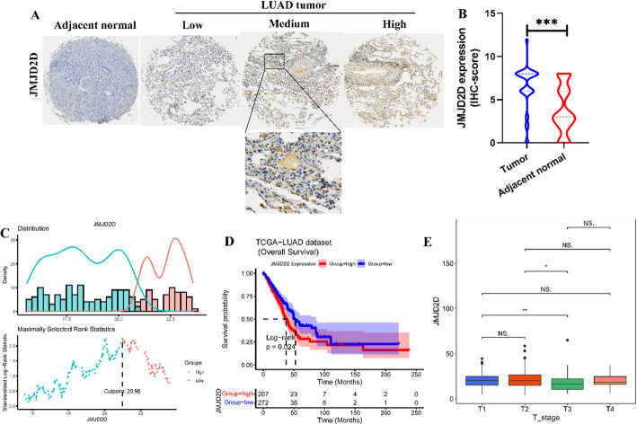 PMC12162437 – Fig3