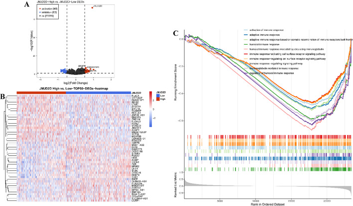 PMC12162437 – Fig4