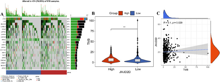 PMC12162437 – Fig6