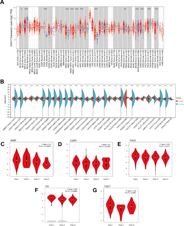 PMC12173986 – Fig1