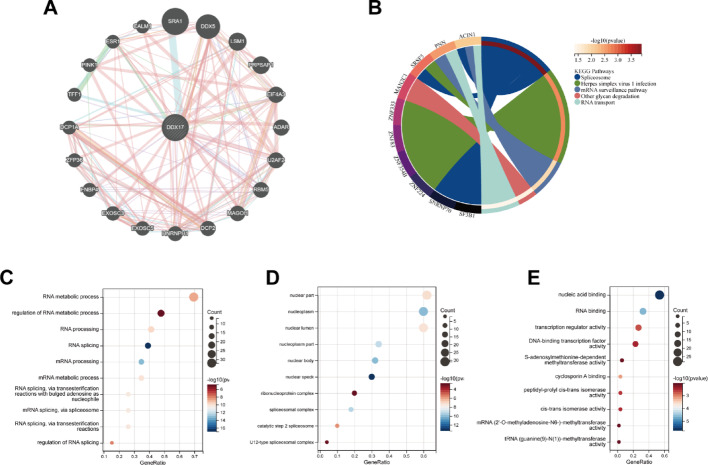PMC12173986 – Fig3