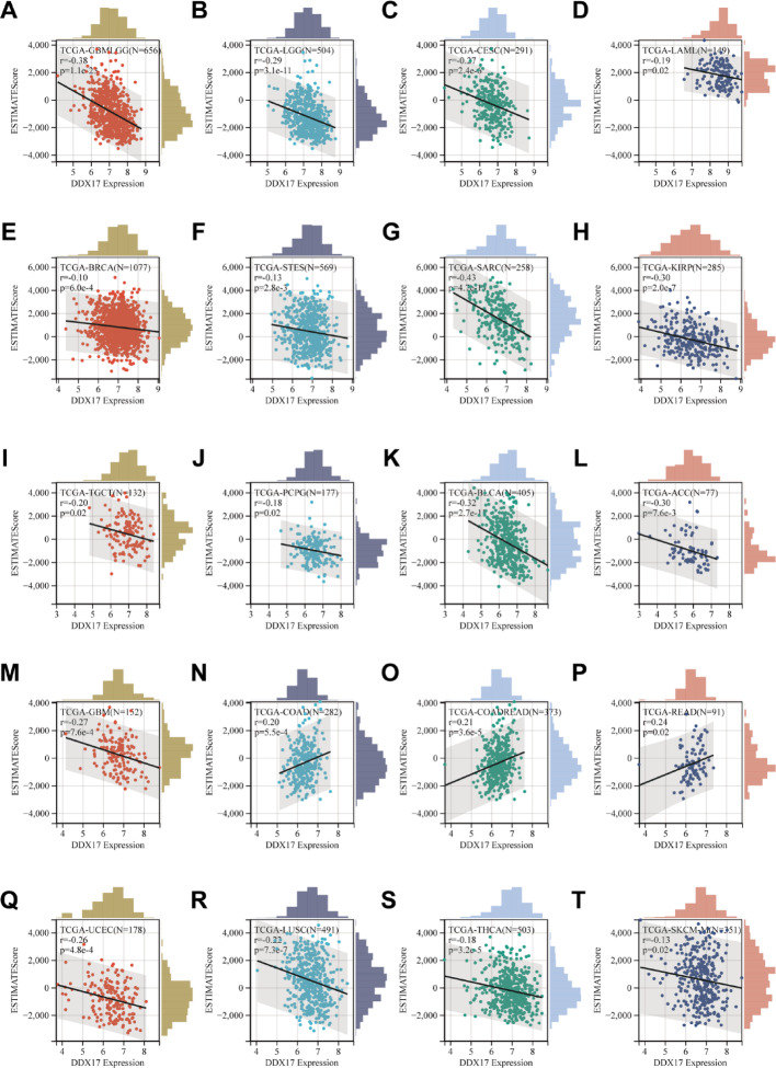 PMC12173986 – Fig4