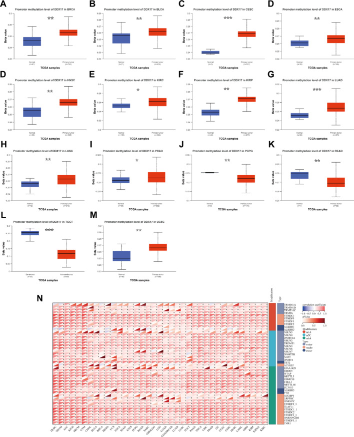 PMC12173986 – Fig7