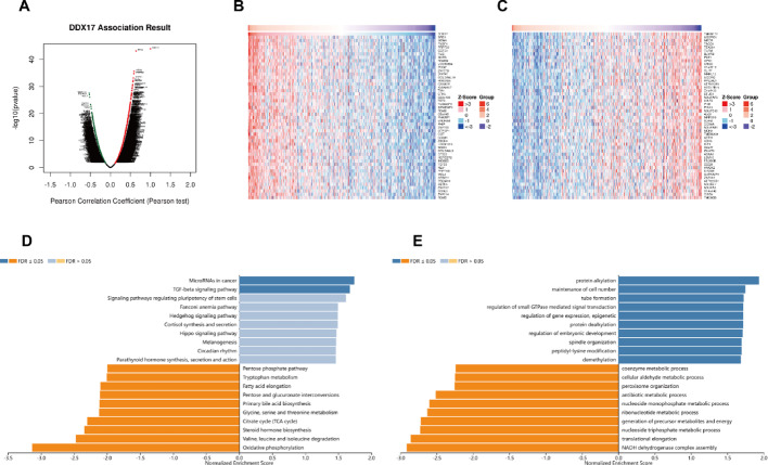 PMC12173986 – Fig9