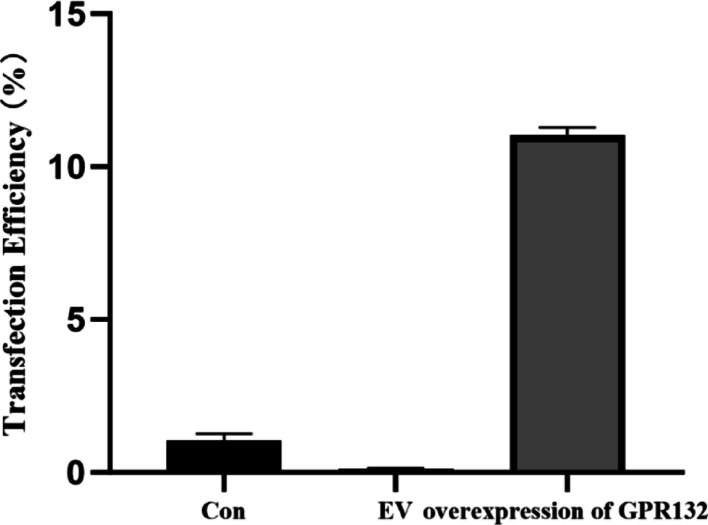 PMC12546205 – Fig11
