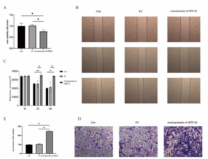 PMC12546205 – Fig12