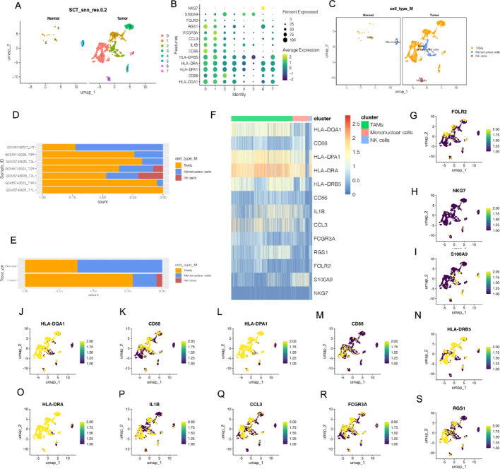 PMC12546205 – Fig2