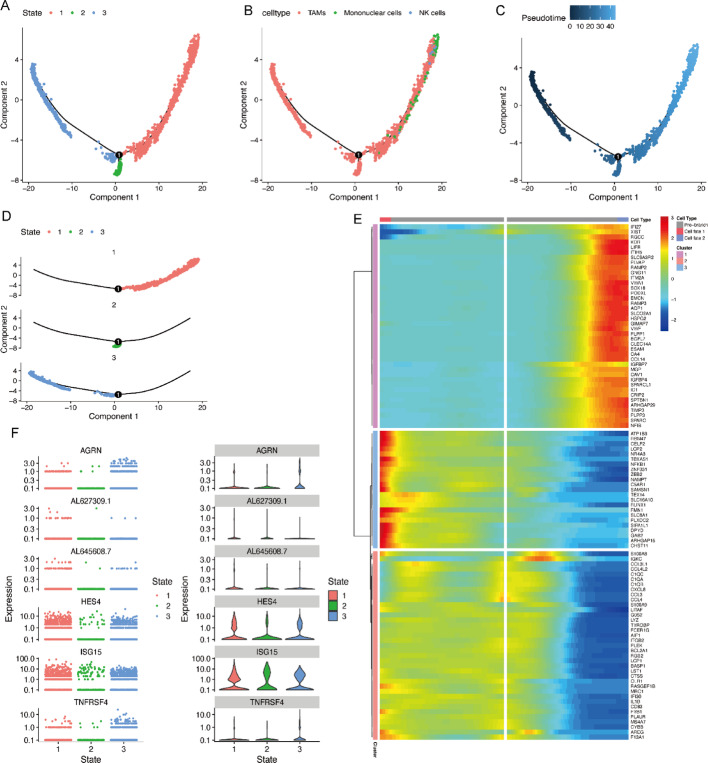 PMC12546205 – Fig5