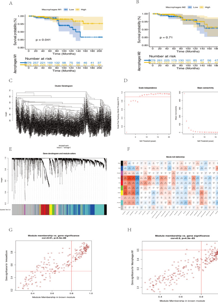 PMC12546205 – Fig6