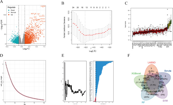 PMC12546205 – Fig7
