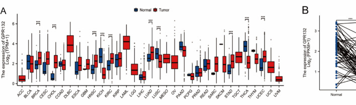 PMC12546205 – Fig8