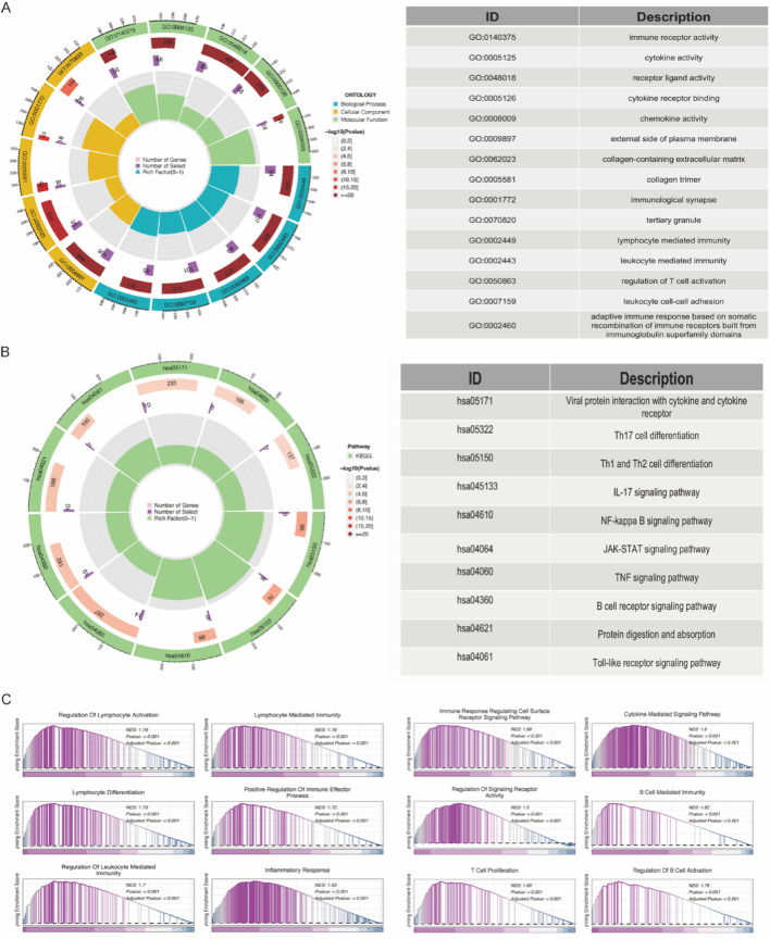 PMC12546205 – Fig9