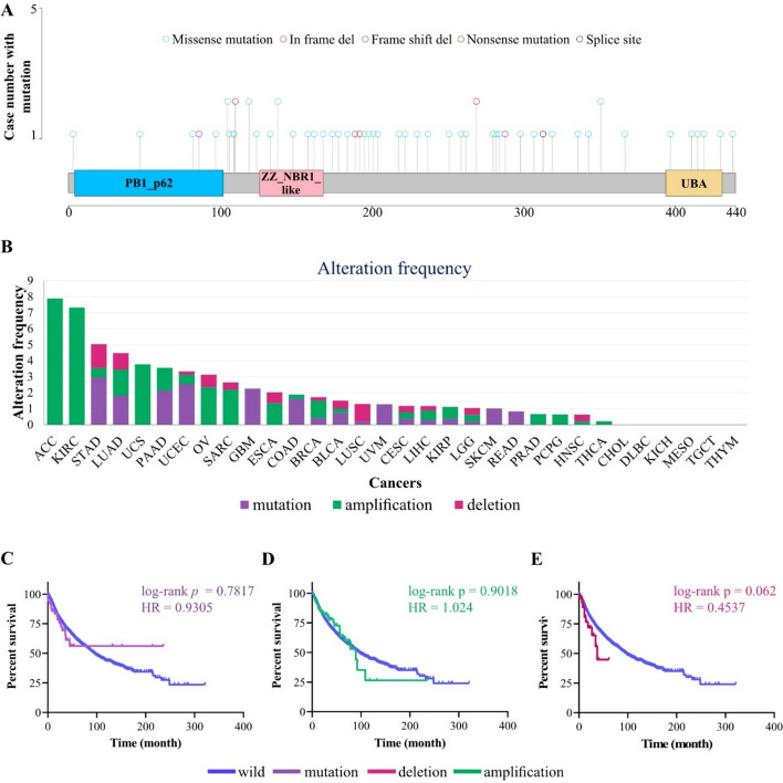 PMC12748421 – Fig1
