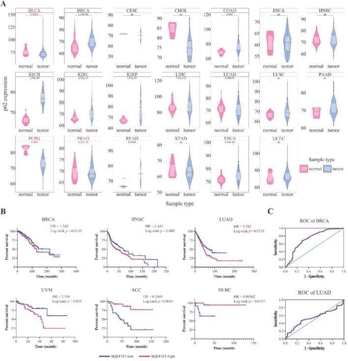 PMC12748421 – Fig2