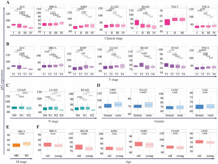 PMC12748421 – Fig3