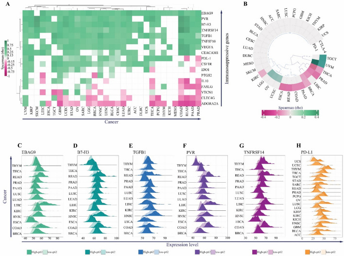 PMC12748421 – Fig6
