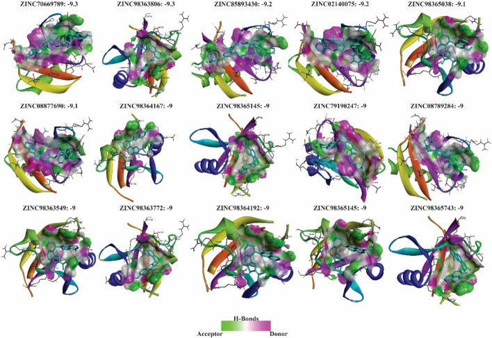 PMC12748421 – Fig7