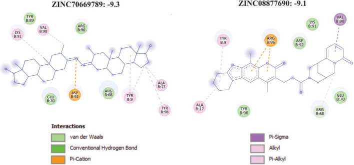 PMC12748421 – Fig8