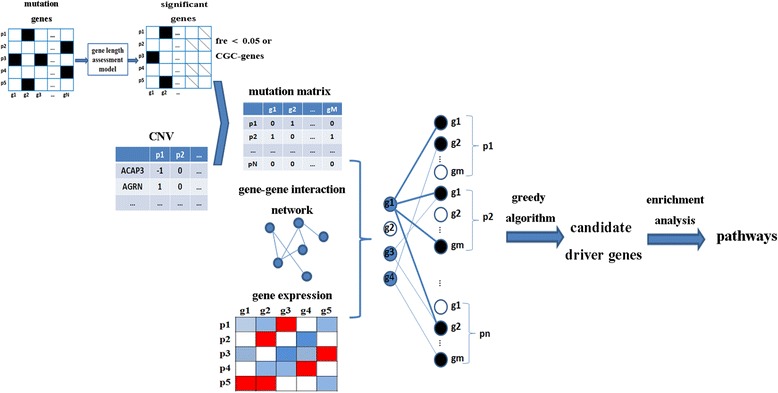 PMC5259866 – Fig1