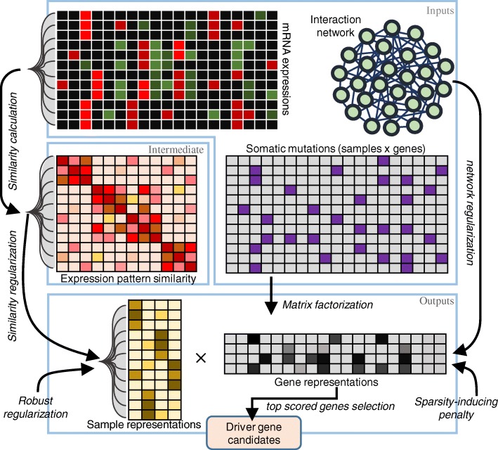 PMC5989443 – Fig1