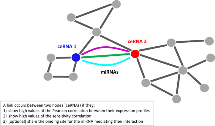 PMC9073480 – Fig3