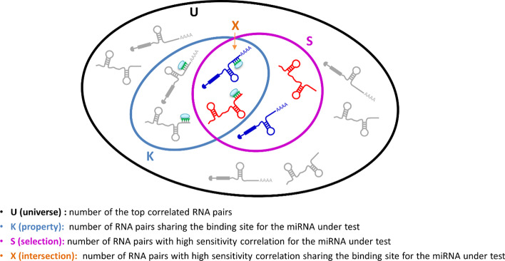 PMC9073480 – Fig4