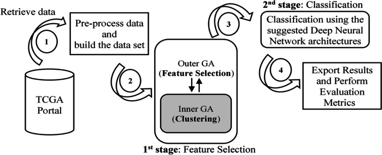 PMC9275179 – Fig5