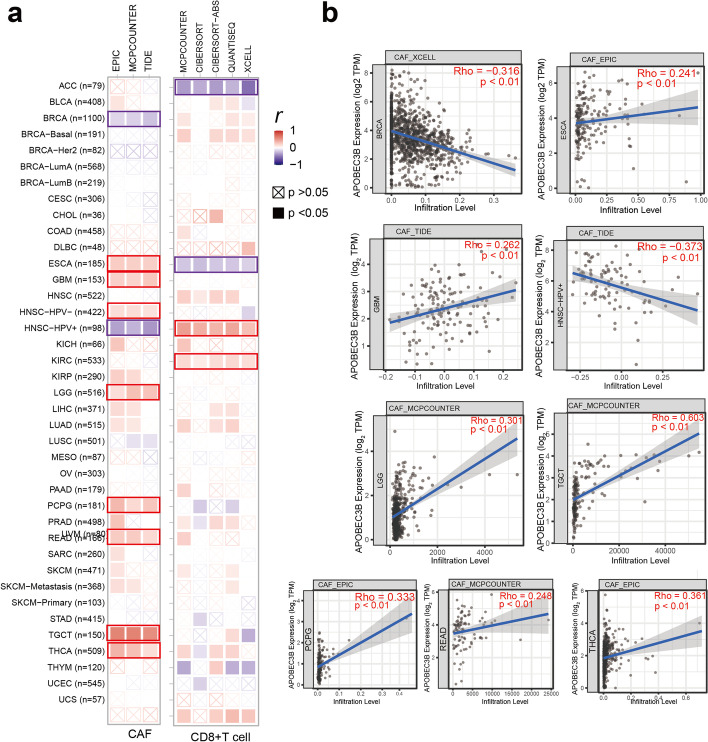 PMC9344753 – Fig4