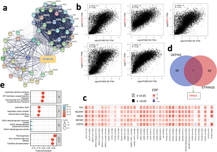 PMC9344753 – Fig5