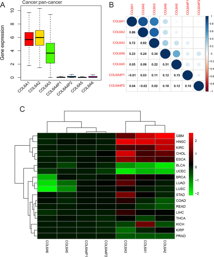 PMC9513866 – Fig1