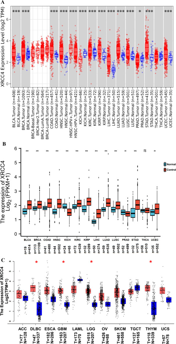 PMC9921312 – Fig1