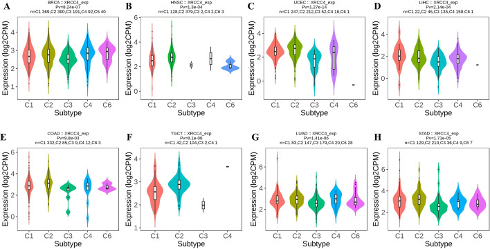 PMC9921312 – Fig6