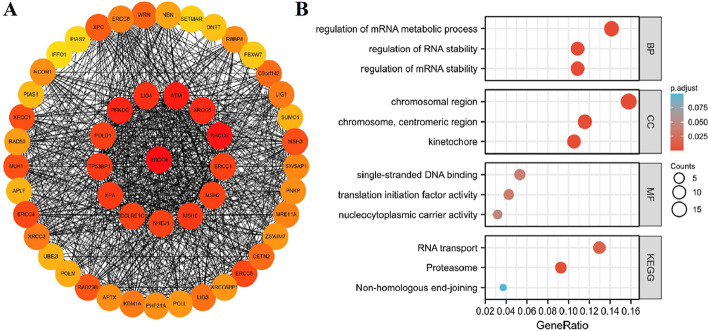 PMC9921312 – Fig9