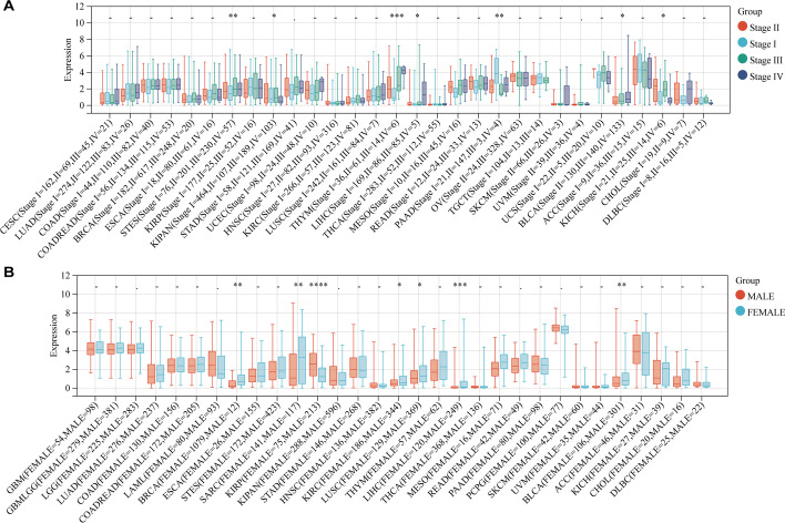 PMC9933257 – Fig10