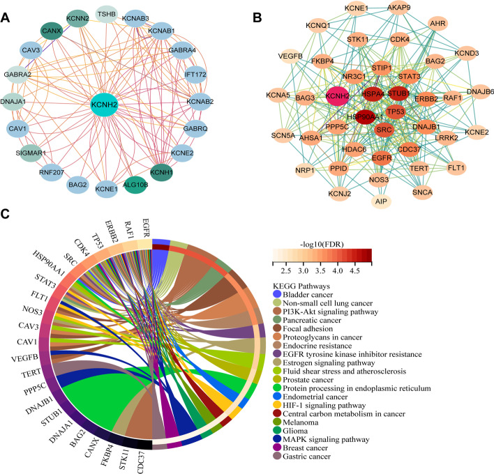 PMC9933257 – Fig11