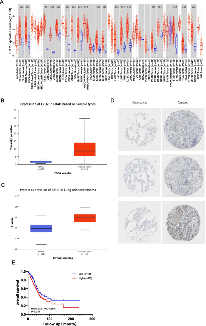 PMC10111667 – Fig1