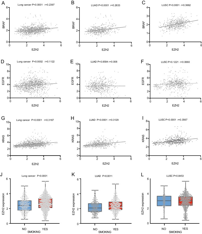 PMC10111667 – Fig4