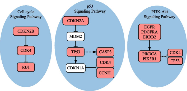 PMC10207662 – Fig3